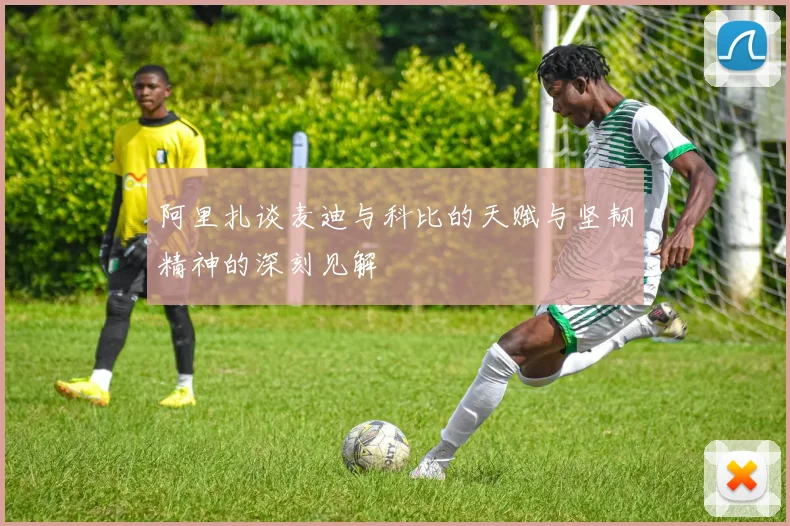 阿里扎谈麦迪与科比的天赋与坚韧精神的深刻见解