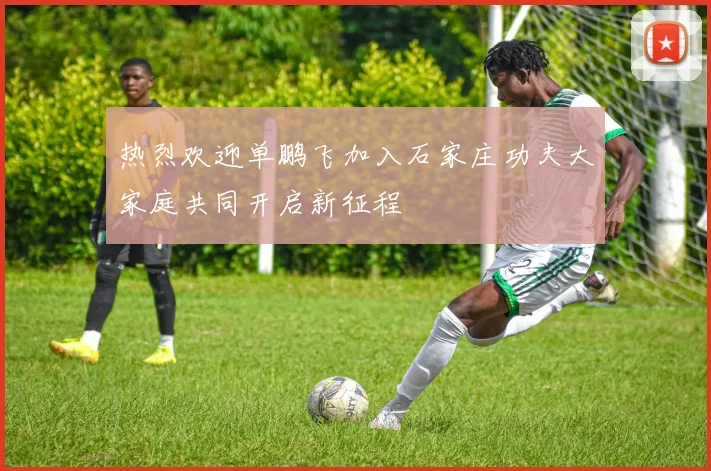 热烈欢迎单鹏飞加入石家庄功夫大家庭共同开启新征程