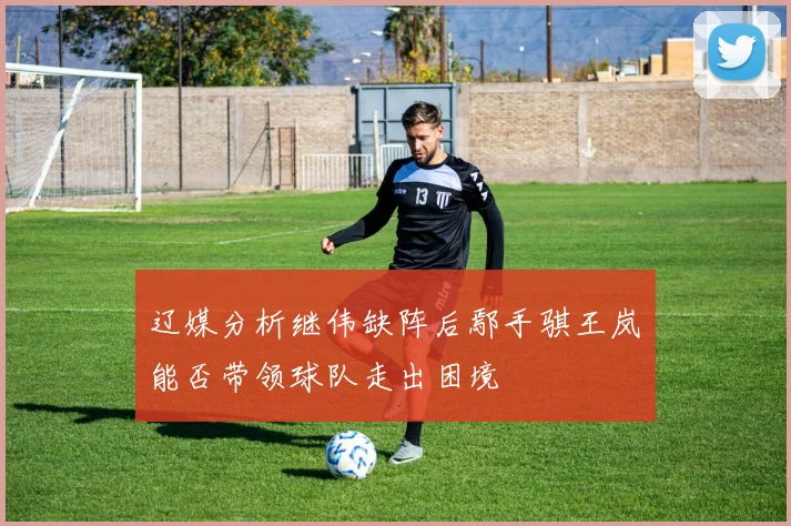 辽媒分析继伟缺阵后鄢手骐王岚嵚能否带领球队走出困境